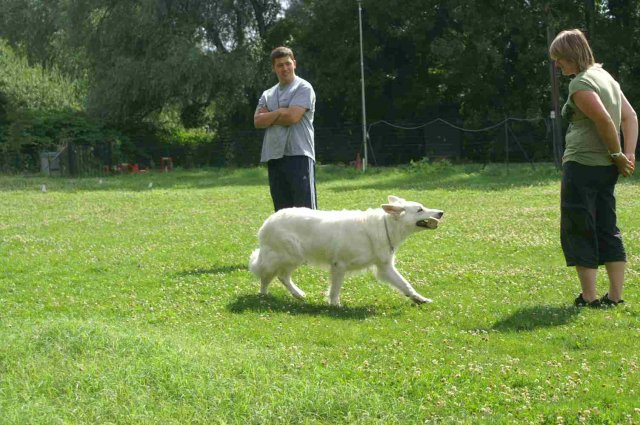 obeissance 2014-08-02